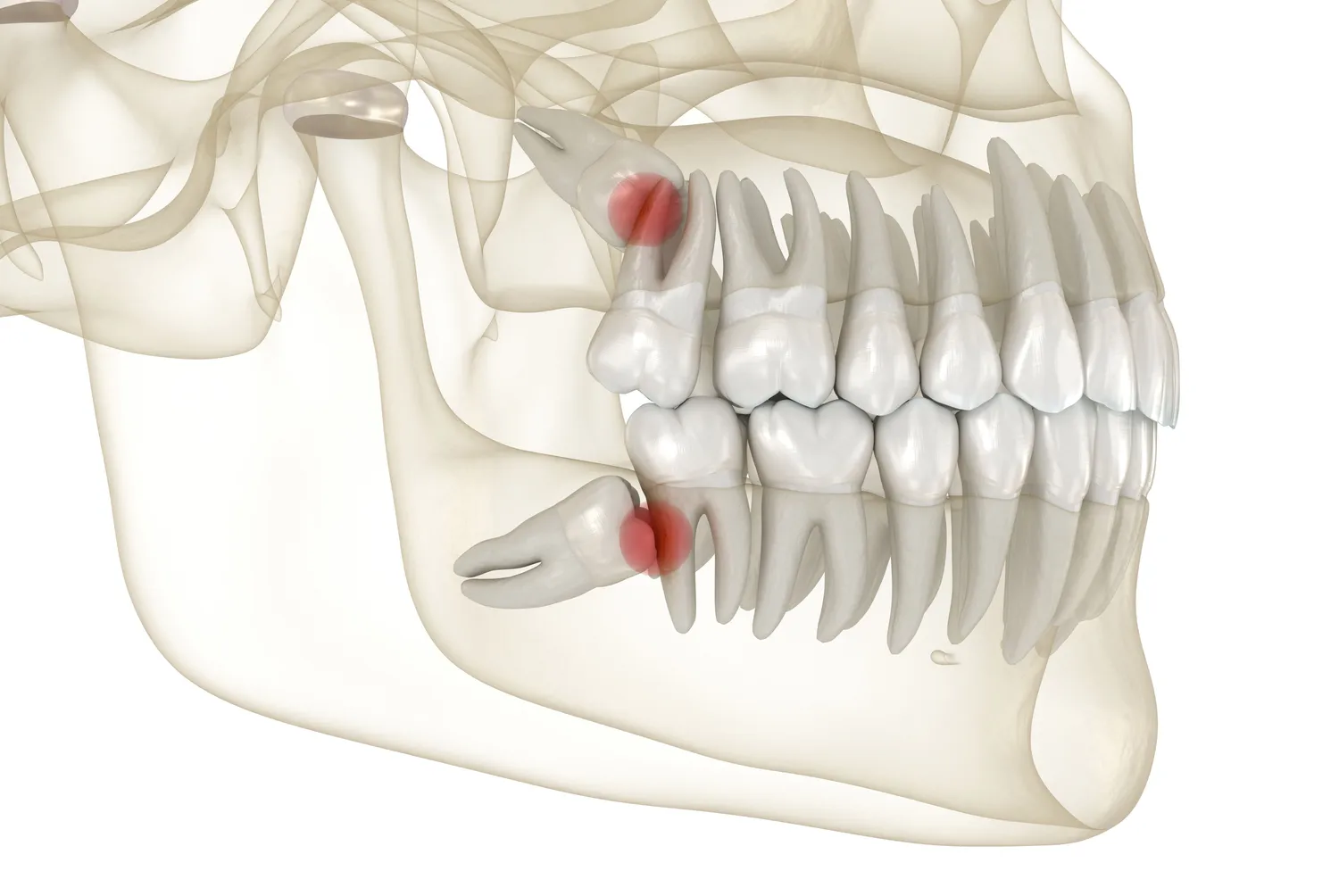 Dr. Firas F. Katabi, Oral Surgeon